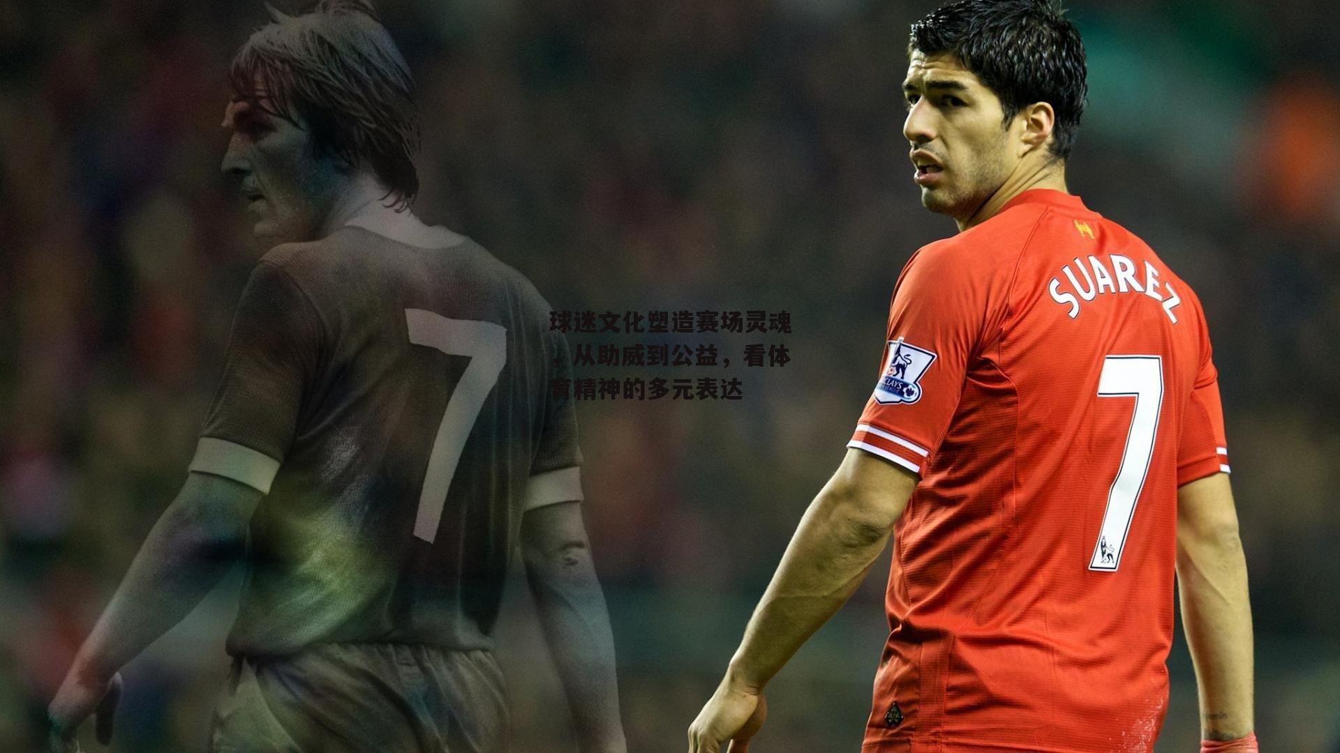 球迷文化塑造赛场灵魂，从助威到公益，看体育精神的多元表达