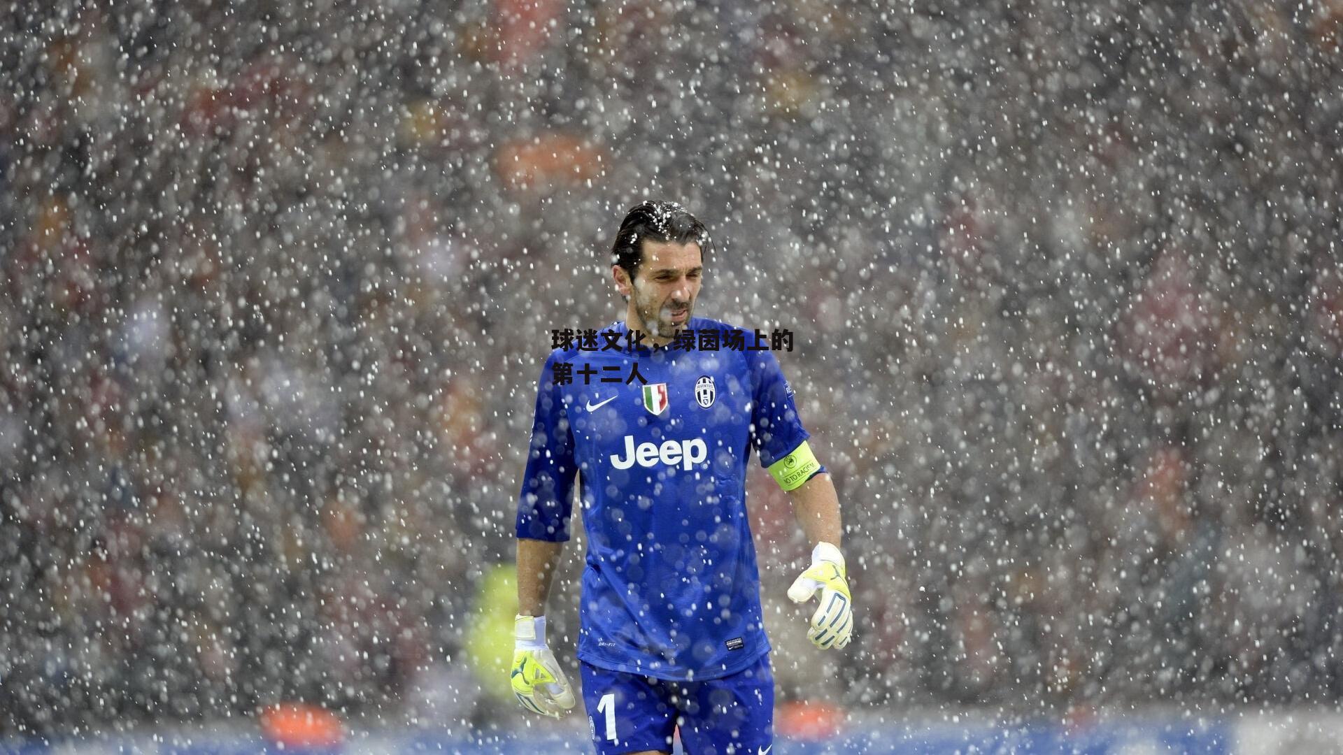 球迷文化，绿茵场上的第十二人