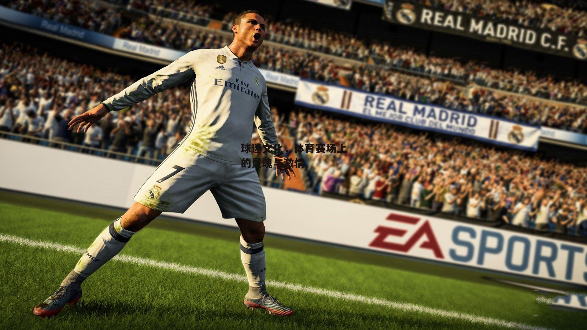 球迷文化，体育赛场上的灵魂与激情